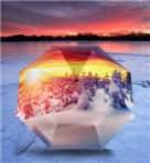 天堂伞 全遮光（UPF50+）丝光绒彩胶五折太阳伞晴雨伞31...